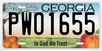 GA license plate PWO1655