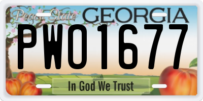 GA license plate PWO1677