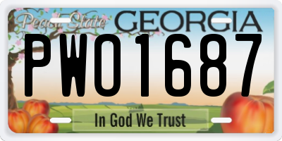 GA license plate PWO1687