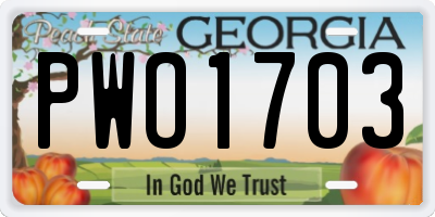 GA license plate PWO1703