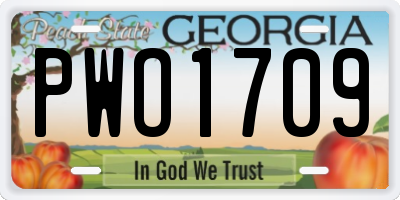 GA license plate PWO1709