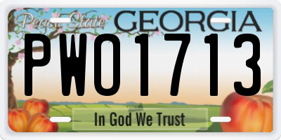 GA license plate PWO1713