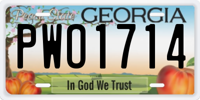 GA license plate PWO1714