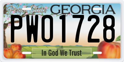 GA license plate PWO1728