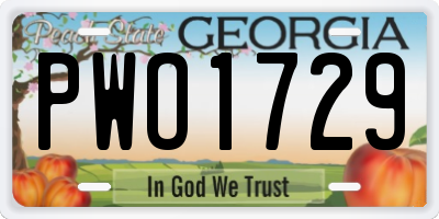 GA license plate PWO1729