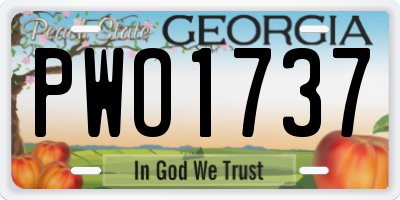 GA license plate PWO1737