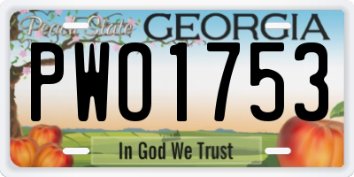 GA license plate PWO1753