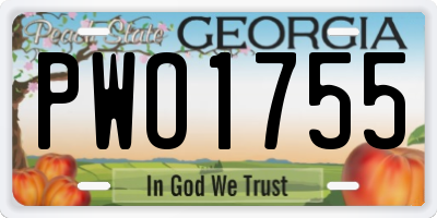 GA license plate PWO1755