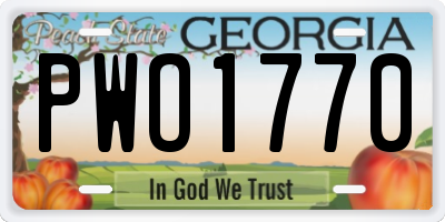 GA license plate PWO1770