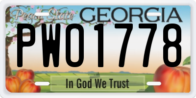 GA license plate PWO1778