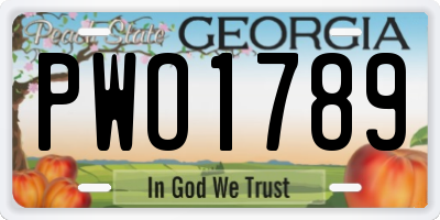 GA license plate PWO1789