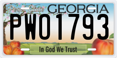 GA license plate PWO1793