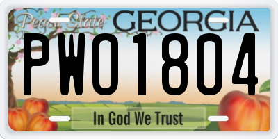 GA license plate PWO1804