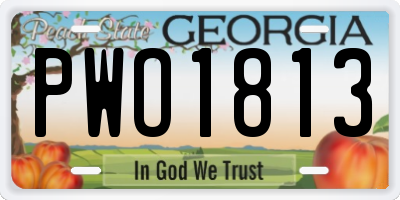 GA license plate PWO1813