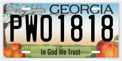 GA license plate PWO1818