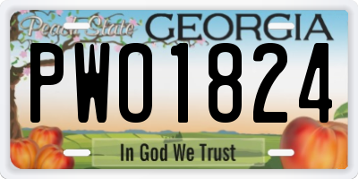 GA license plate PWO1824