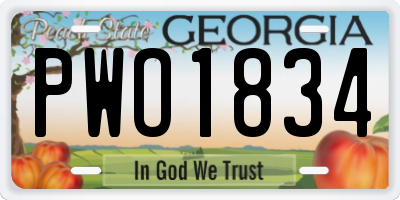 GA license plate PWO1834
