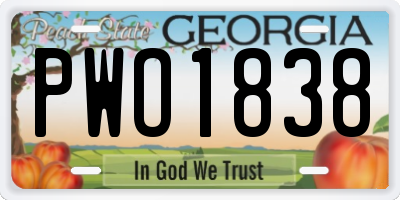 GA license plate PWO1838