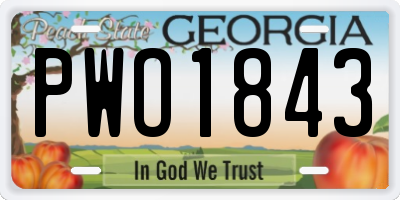 GA license plate PWO1843