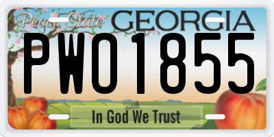 GA license plate PWO1855