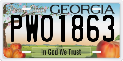 GA license plate PWO1863