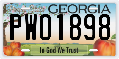 GA license plate PWO1898