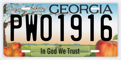 GA license plate PWO1916