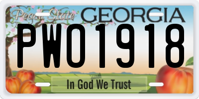 GA license plate PWO1918