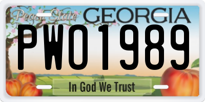 GA license plate PWO1989