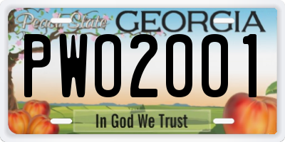 GA license plate PWO2001