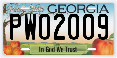 GA license plate PWO2009