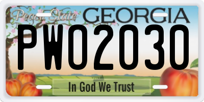 GA license plate PWO2030
