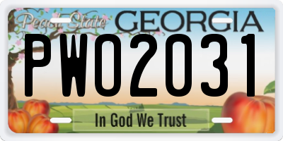 GA license plate PWO2031