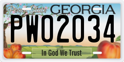GA license plate PWO2034