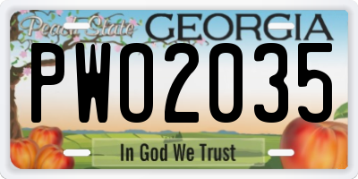 GA license plate PWO2035