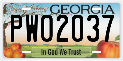 GA license plate PWO2037