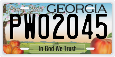 GA license plate PWO2045