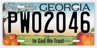 GA license plate PWO2046