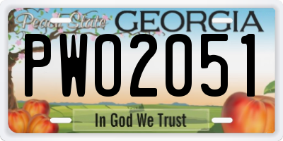 GA license plate PWO2051