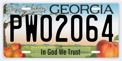GA license plate PWO2064