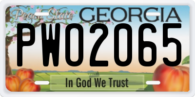 GA license plate PWO2065