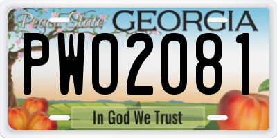 GA license plate PWO2081