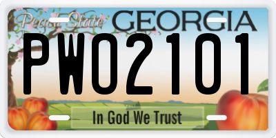 GA license plate PWO2101