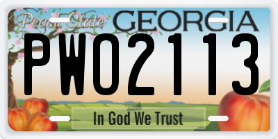 GA license plate PWO2113