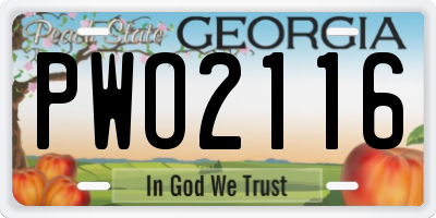 GA license plate PWO2116