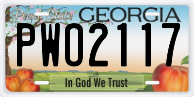 GA license plate PWO2117