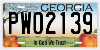 GA license plate PWO2139