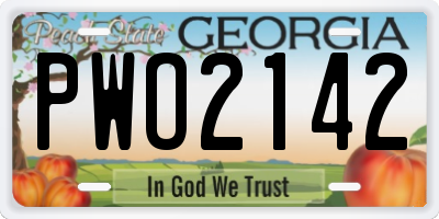 GA license plate PWO2142