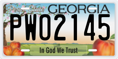 GA license plate PWO2145