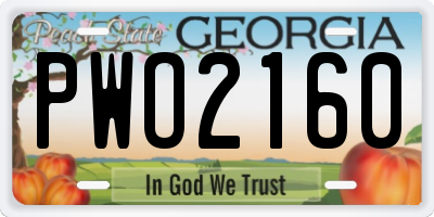 GA license plate PWO2160